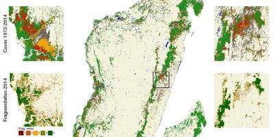 Karte von Madagaskar Entwaldung