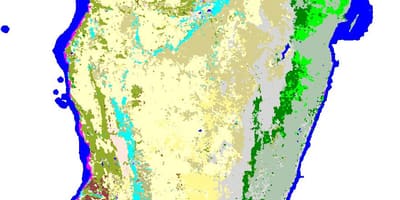 Karte von Madagaskar vegetation